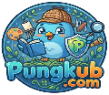 PUNGKUB  เว็บพนันที่ให้มากกว่าการเดิมพัน ความสนุกไม่มีขีดจำกัด